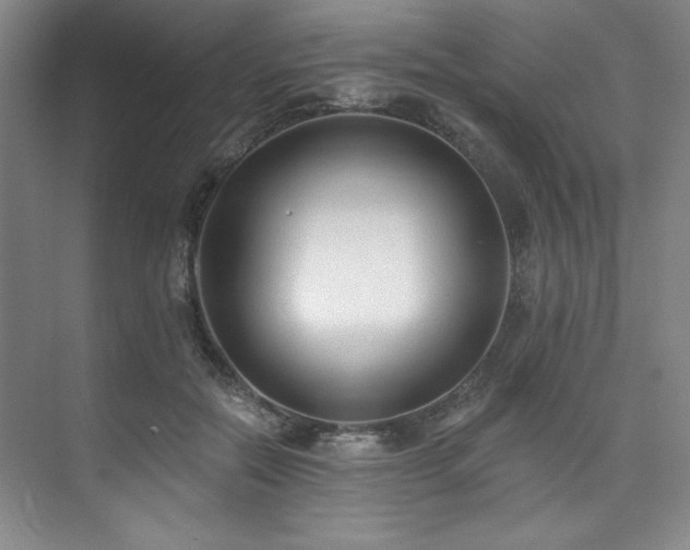 X0000073760554200608031537