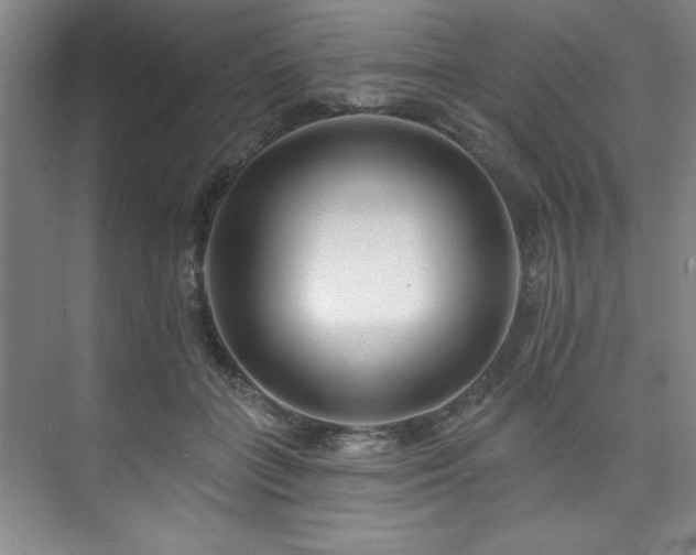 X0000073760555200608031537