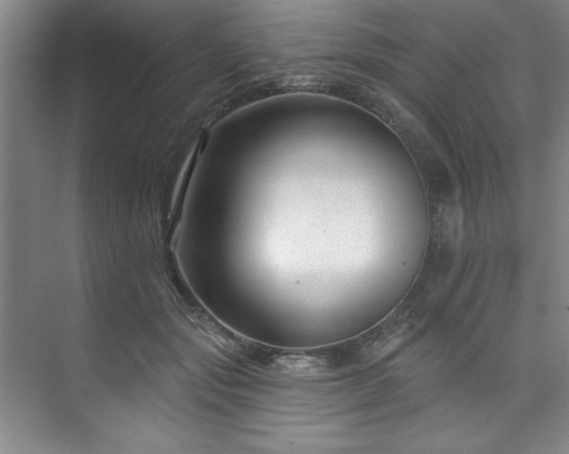 X0000073760557200608031537