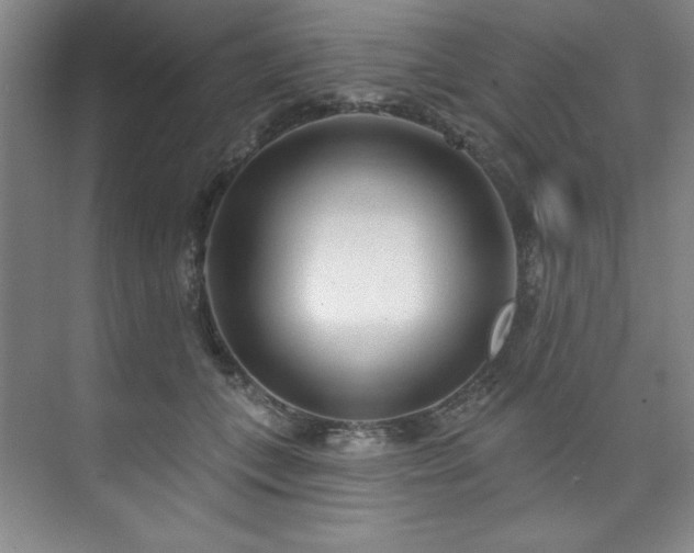 X0000073760559200608031537