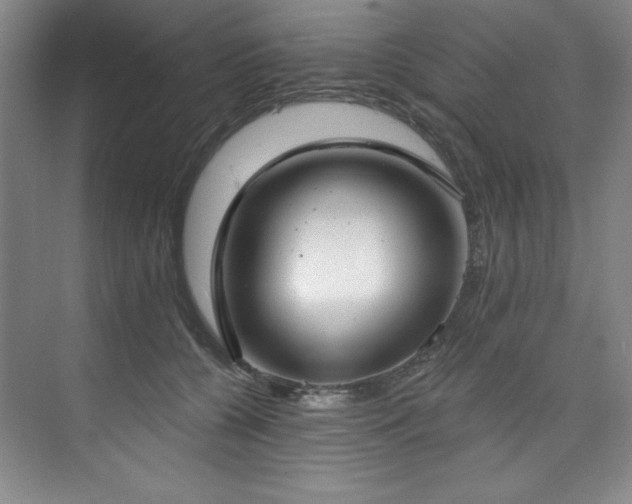 X0000073760560200608031537