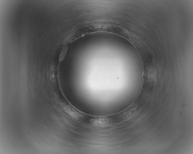 X0000073760567200608031537