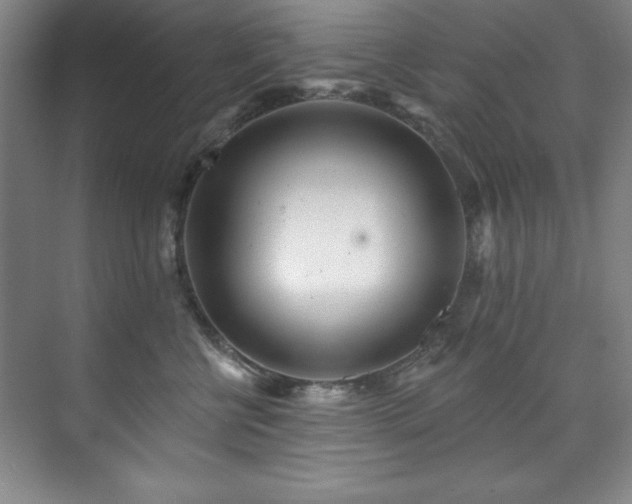 X0000073760570200608031537