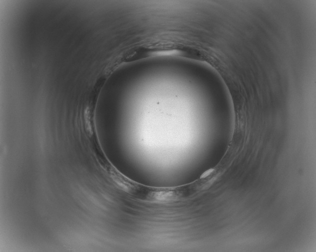 X0000073760575200608031537