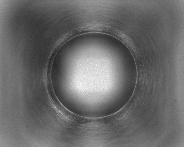 X0000073760578200608031536