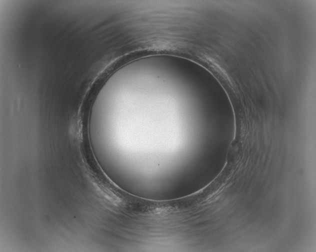 X0000073760584200608031536