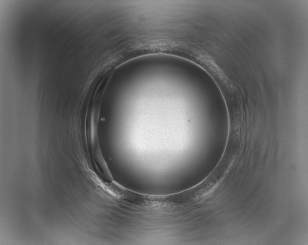 X0000073760585200608031536
