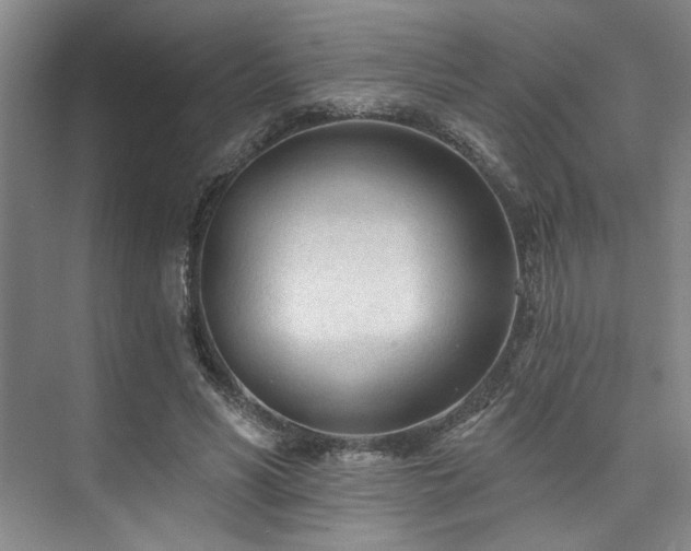 X0000073760590200608031536