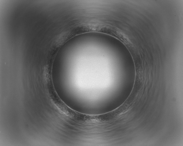 X0000073760594200608031536