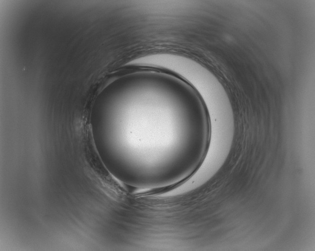 X0000073760601200608031536