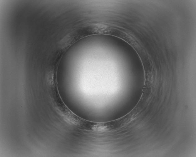 X0000073760602200608031536