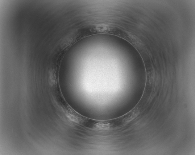 X0000073760606200608031536