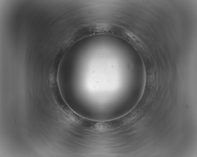 X0000073760608200608031536