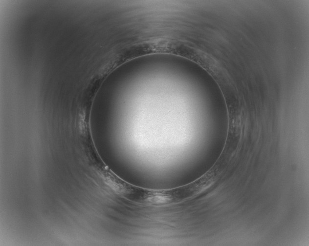 X0000073760610200608031536