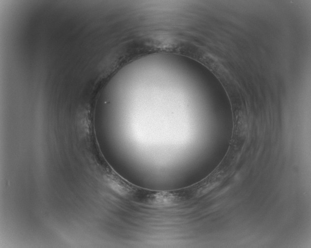 X0000073760612200608031536