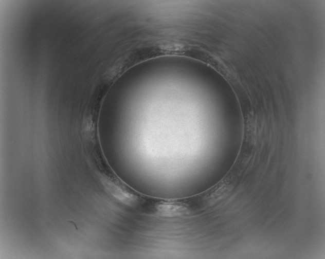 X0000073760614200608031536