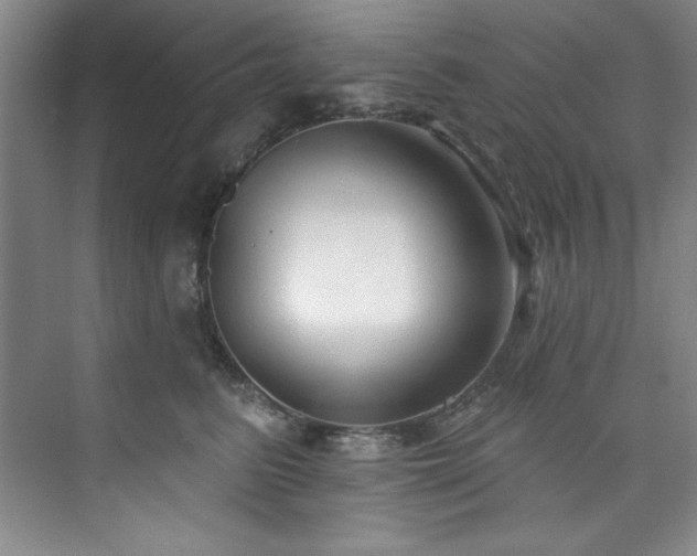 X0000073760615200608031536