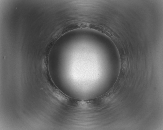 X0000073760616200608031536