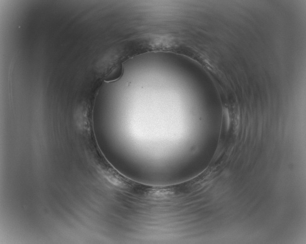 X0000073760619200608031536