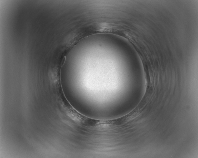X0000073760620200608031536