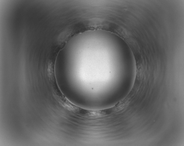 X0000073760623200608031535