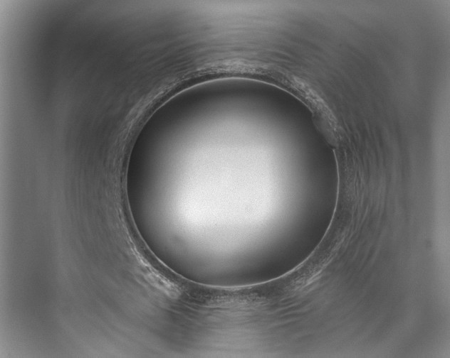 X0000073760625200608031535
