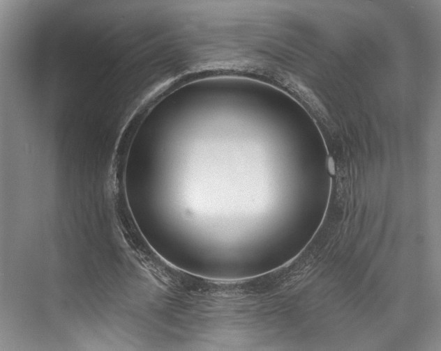 X0000073760628200608031535