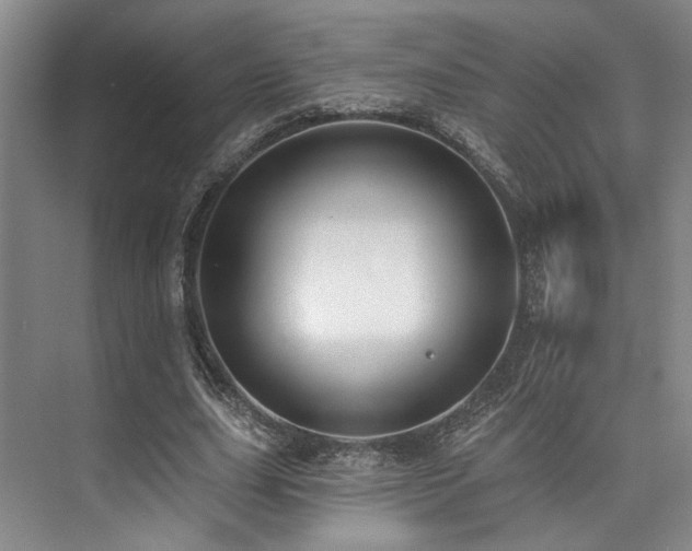 X0000073760631200608031535