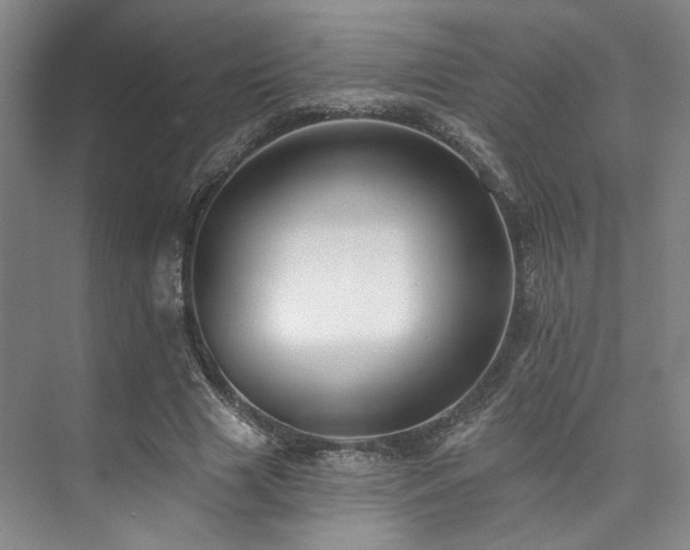 X0000073760633200608031535