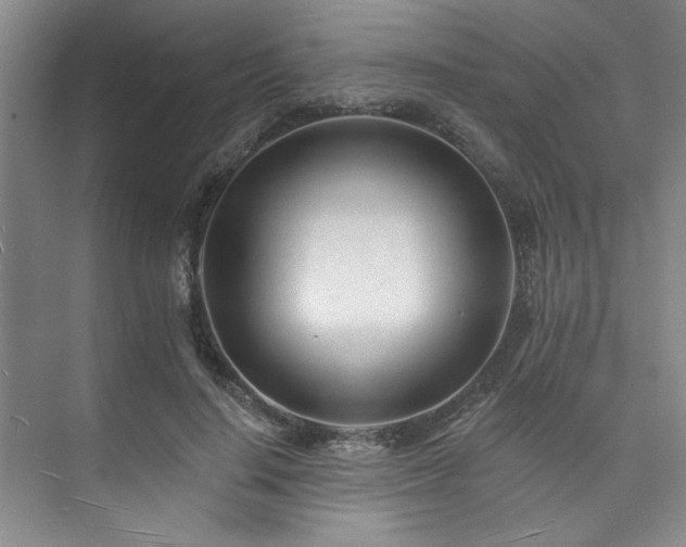 X0000073760644200608031535