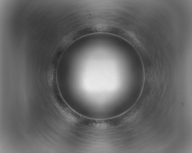 X0000073760645200608031535