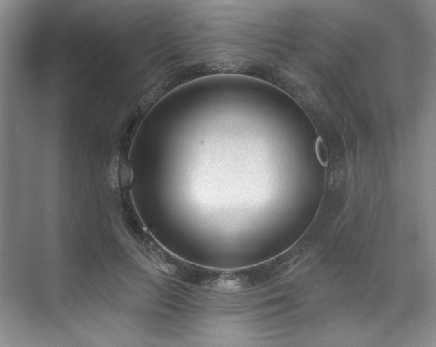 X0000073760647200608031535