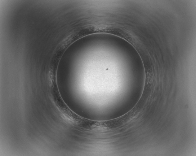 X0000073760648200608031535