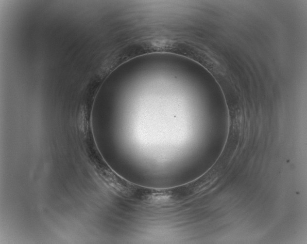 X0000073760651200608031535