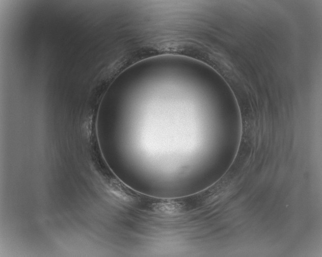 X0000073760652200608031535