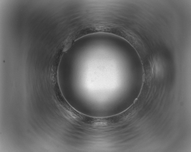X0000073760653200608031535