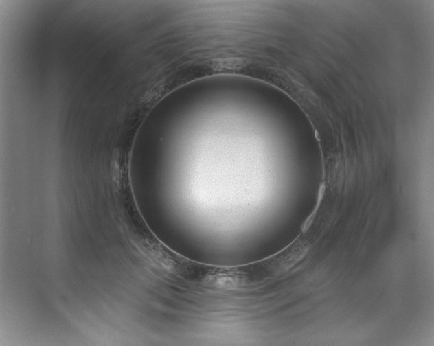 X0000073760655200608031535