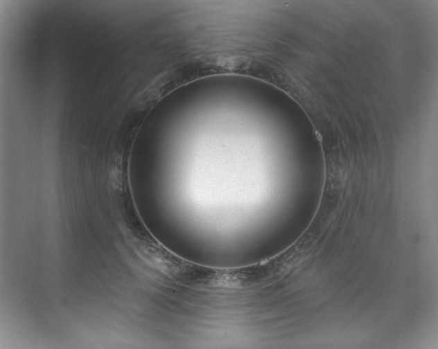 X0000073760656200608031535