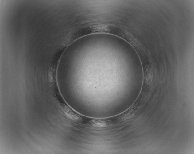 X0000073760658200608031535