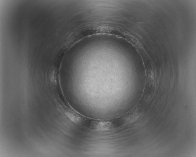X0000073760663200608031535
