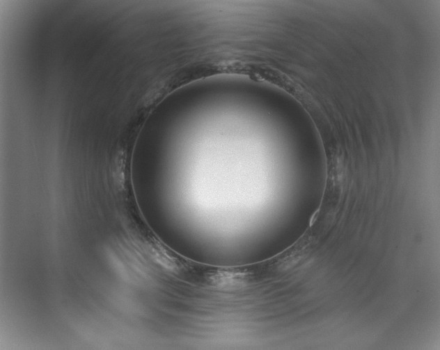 X0000073760664200608031535