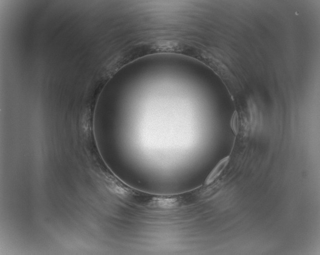 X0000073760665200608031535