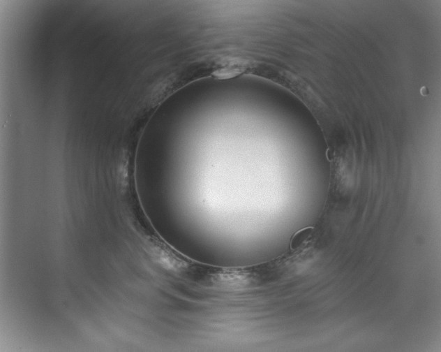 X0000073760668200608031535