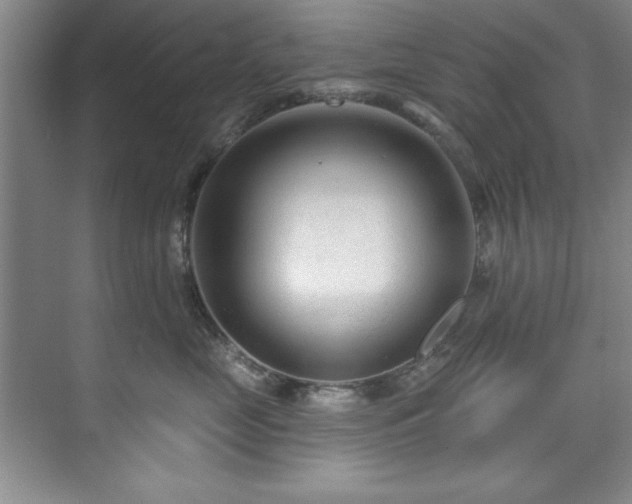 X0000073760669200608031535