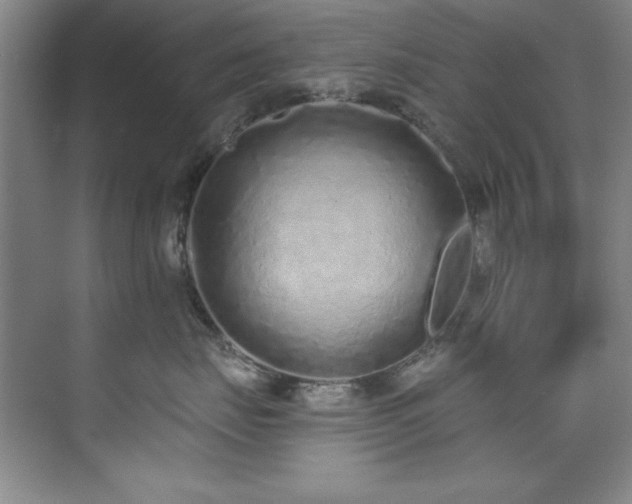 X0000073760671200608031535