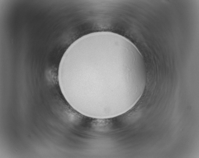 X0000073760672200608031535