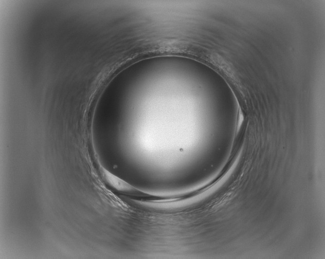 X0000073760673200608031535