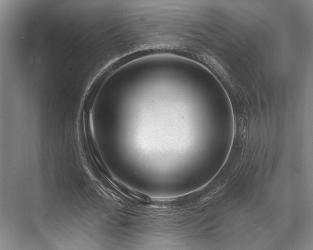 X0000073760676200608031535