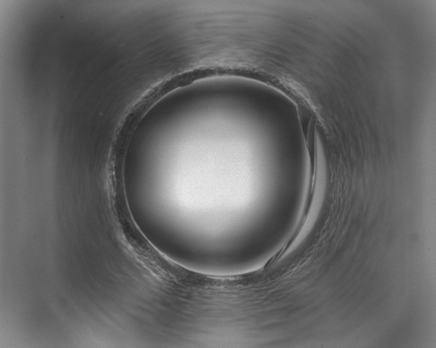 X0000073760680200608031535