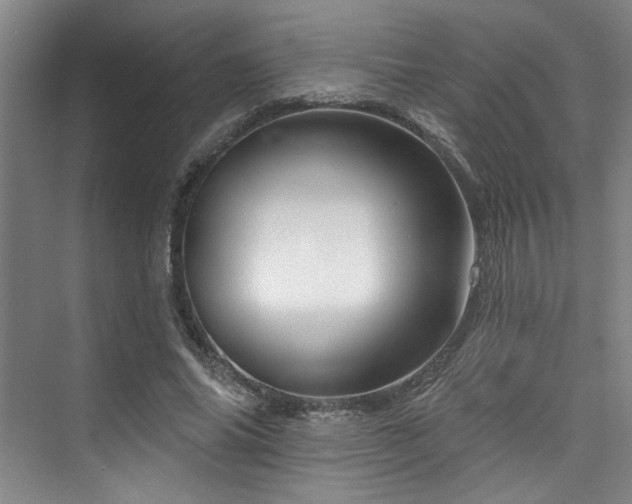 X0000073760686200608031534